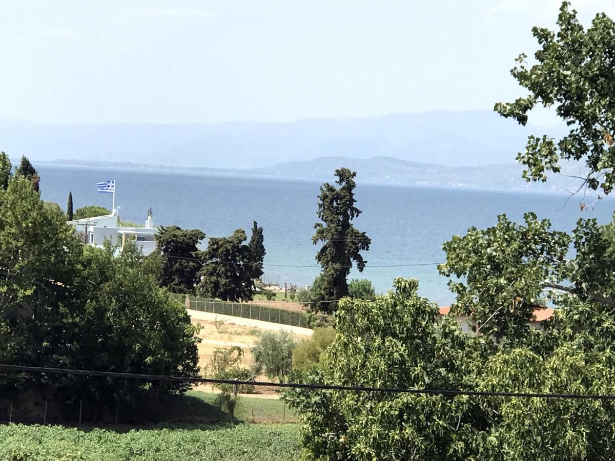 Studio Kalypso Аркица Экстерьер фото